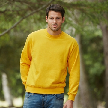 Picture of Classic 80/20 set-in sweatshirt